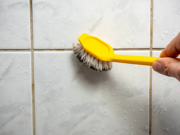 Best Black Mold Removal  in Topaz Ranch Estates, NV