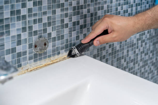 Topaz Ranch Estates, NV Mold Removal Company